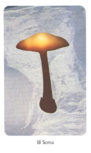 18　Soma