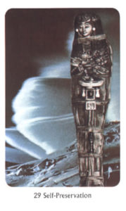 29　Self-Preservation