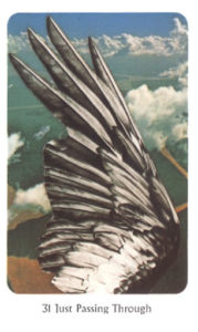 31　Just Passing Through