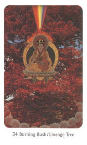 34　Burning Bush/Lineage Tree