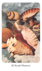 50　Recall/Memory