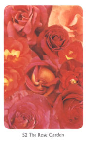 52　The Rose Garden