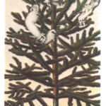 53　Tree Spirit: Yakshi