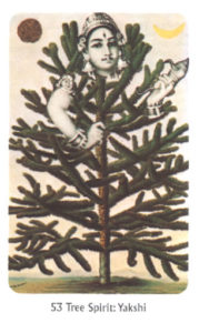 53　Tree Spirit: Yakshi