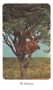 54　Asylum