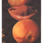 56　Elixir Fruit/Essence