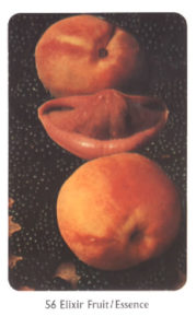 56　Elixir Fruit/Essence
