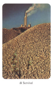 61　Survival