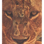 62　Dangerous Pussy/The Past